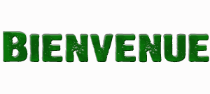 bienvenue